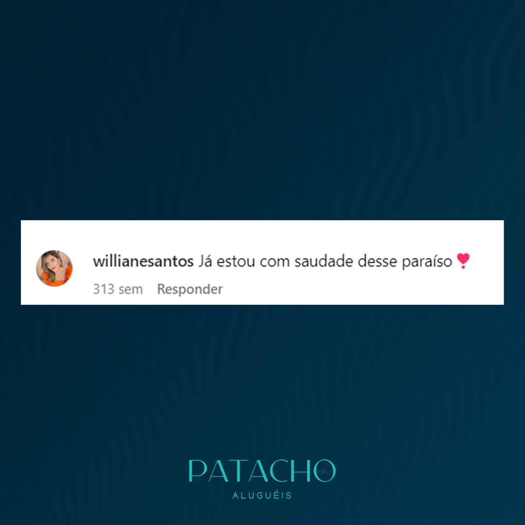 patacho-dep13